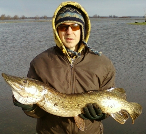 Na Kanale Szerokim kol. Piotr Bulanowski złowił szczupaka o wadze 4,60kg i 90cm dł.