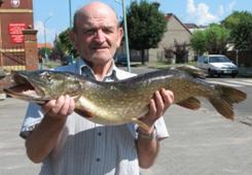 Na Kanale Szerokim kol. Jan Sutryk złowił szczupaka o wadze 5,44kg i 88cm dł.