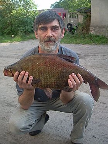 wedkarz torzym